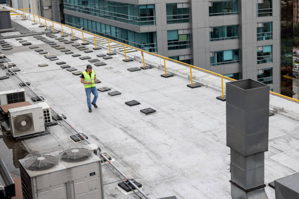 Best Roof Maintenance and Cleaning  in Buies Creek, NC
